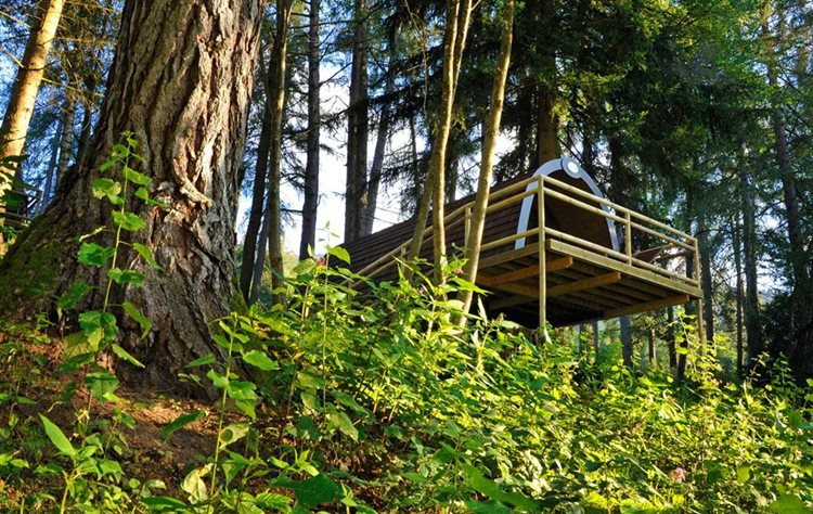 specificere Afgang til eksegese Ferienparadies Natterer See ⛺ - Camping in Tirol ⛰️ Österreich